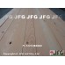 DF 34x64【#J】【10尺1支】